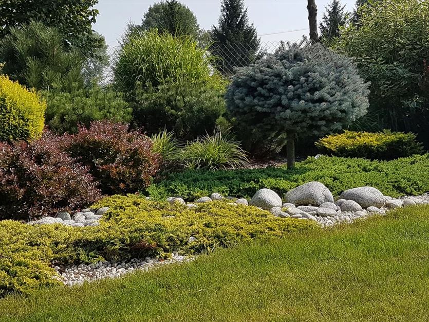 Sadzonki drzew i krzewów dekoracyjnych, Hortus Robak Olga, Karlusin